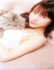 电视剧再婚进行时