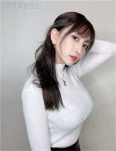 少帅电视剧全集