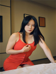 公憩关系小说