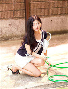 黑玫瑰电视剧